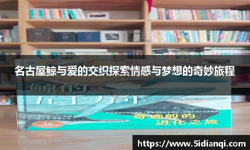 名古屋鲸与爱的交织探索情感与梦想的奇妙旅程
