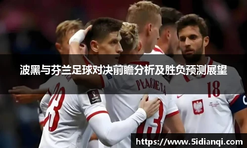 波黑与芬兰足球对决前瞻分析及胜负预测展望